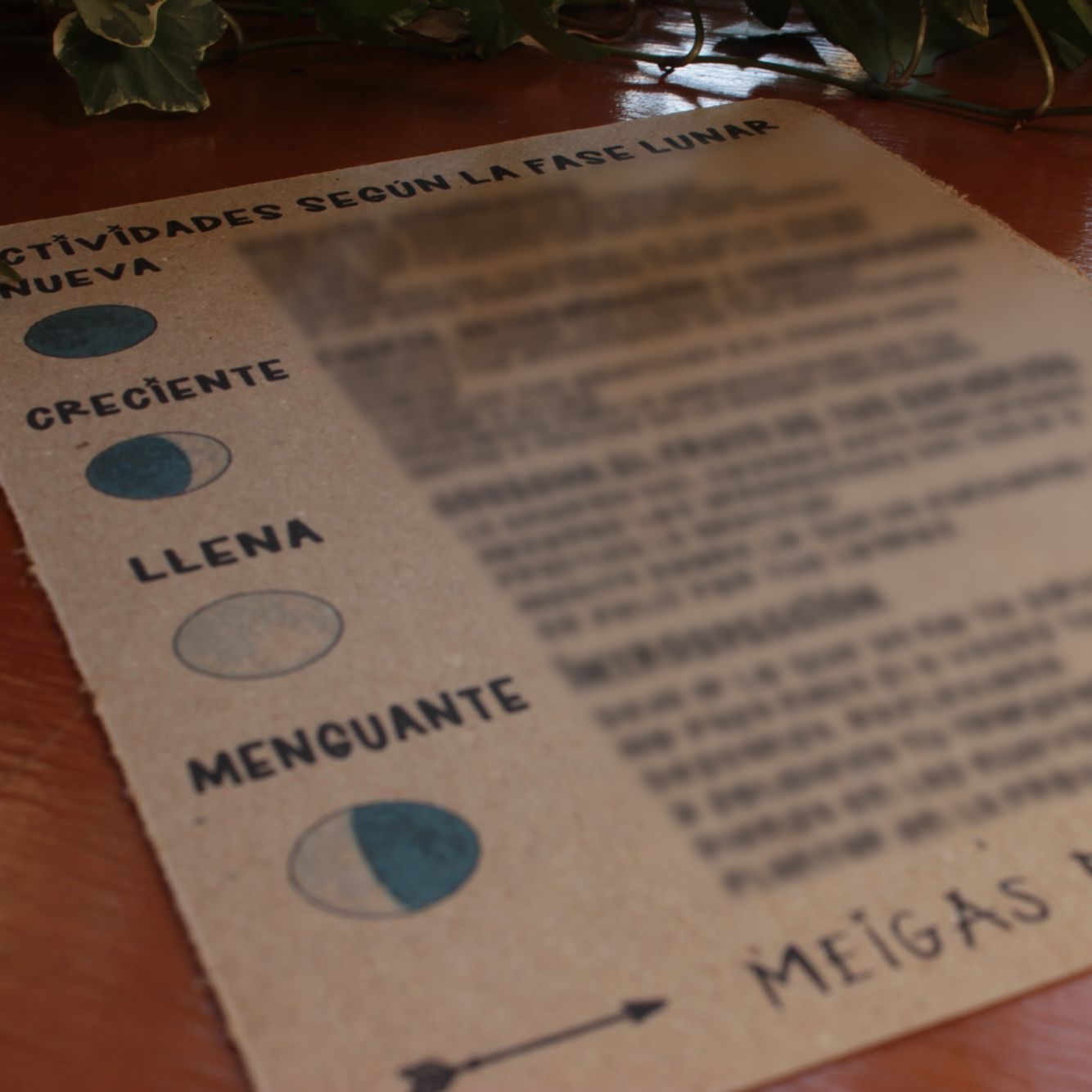 Calendario Lunar 2025