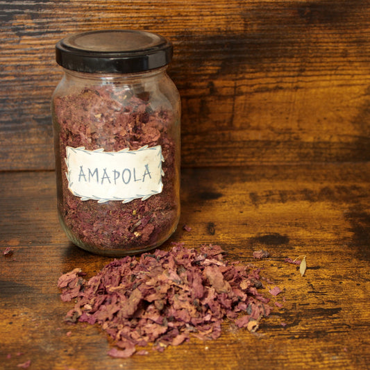 Amapola (flor)