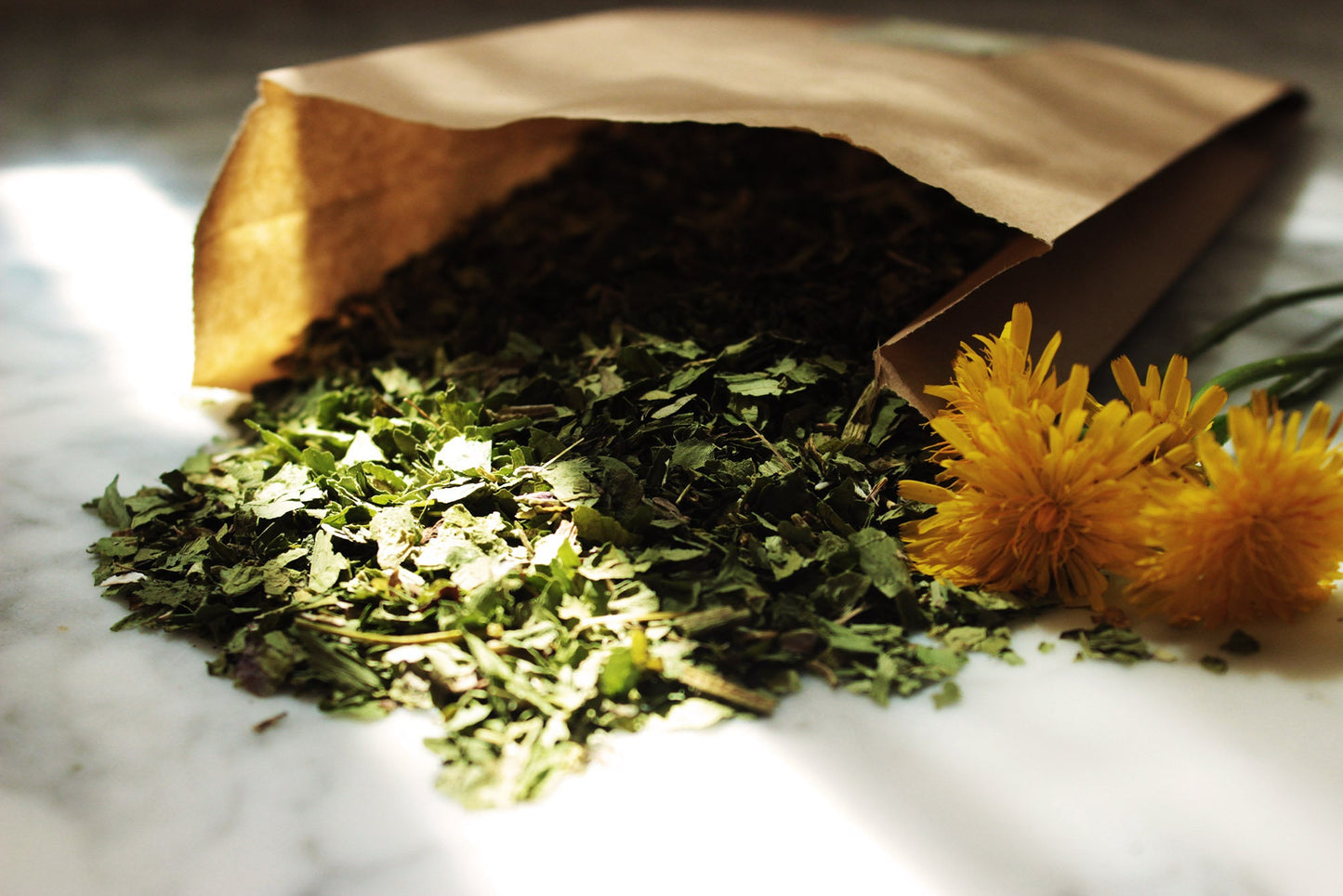 DIENTE de LEÓN hojas para infusión o uso ritual (Taraxacum officinale) 25g. Retención de líquidos, pérdida de peso, salud del hígado, anemia